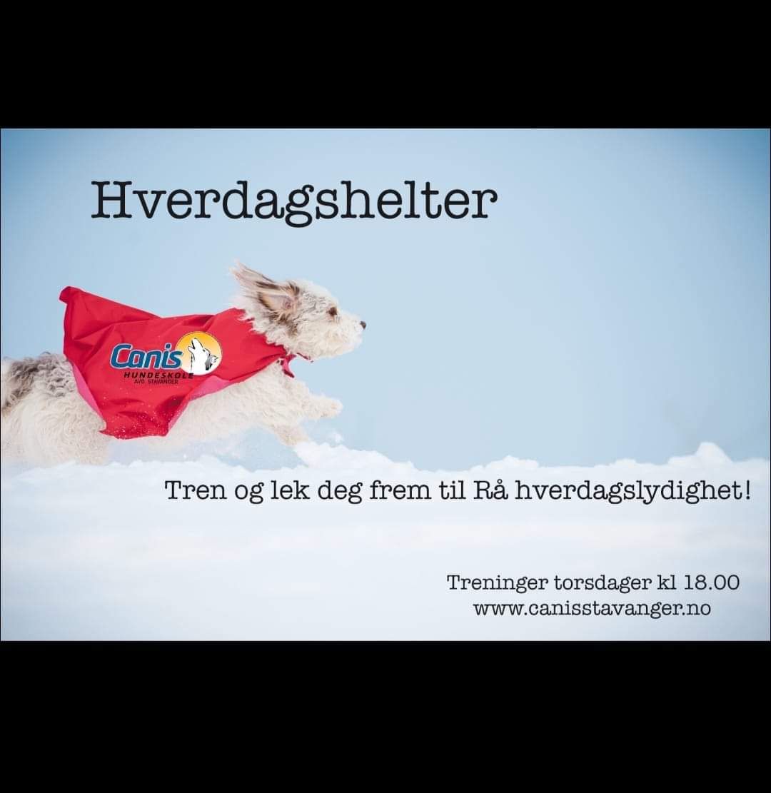 Hverdagshelter - Klippekort