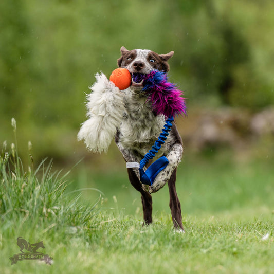 Doggie-zen Elastisk Kampleke i fuskepels med Chuckit og saueskinn