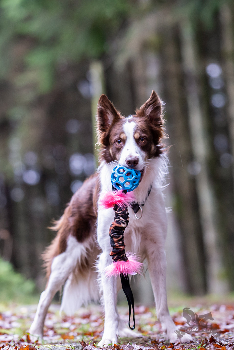 Doggie - Zen Hol-ee raslekampleke