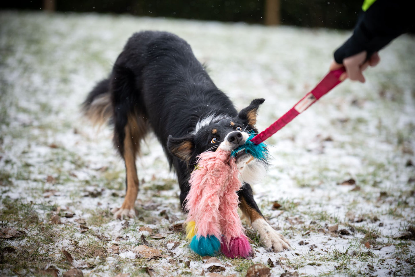 Doggie - Zen Elastisk blekksprut draleke