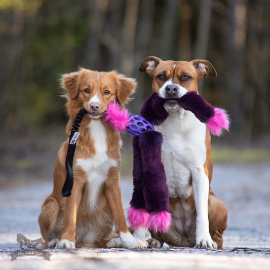 Doggie-zen trearmet blekksprutdraleke